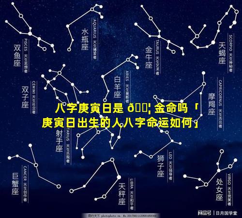 八字庚寅日是 🐦 金命吗「庚寅日出生的人八字命运如何」
